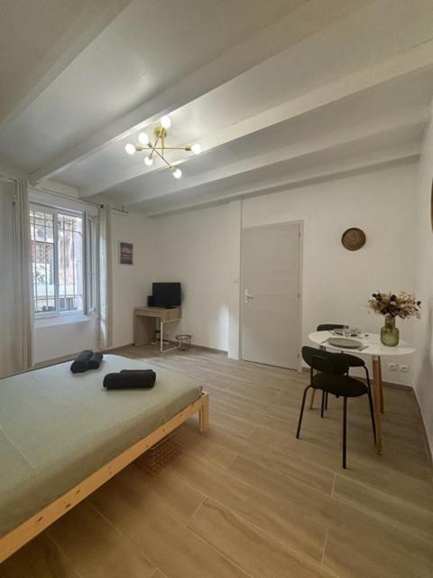 Appartement Centre Jardin Des Plantes - *
