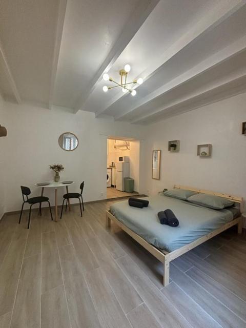Centre Jardin Des Plantes - Appartement Montpellier